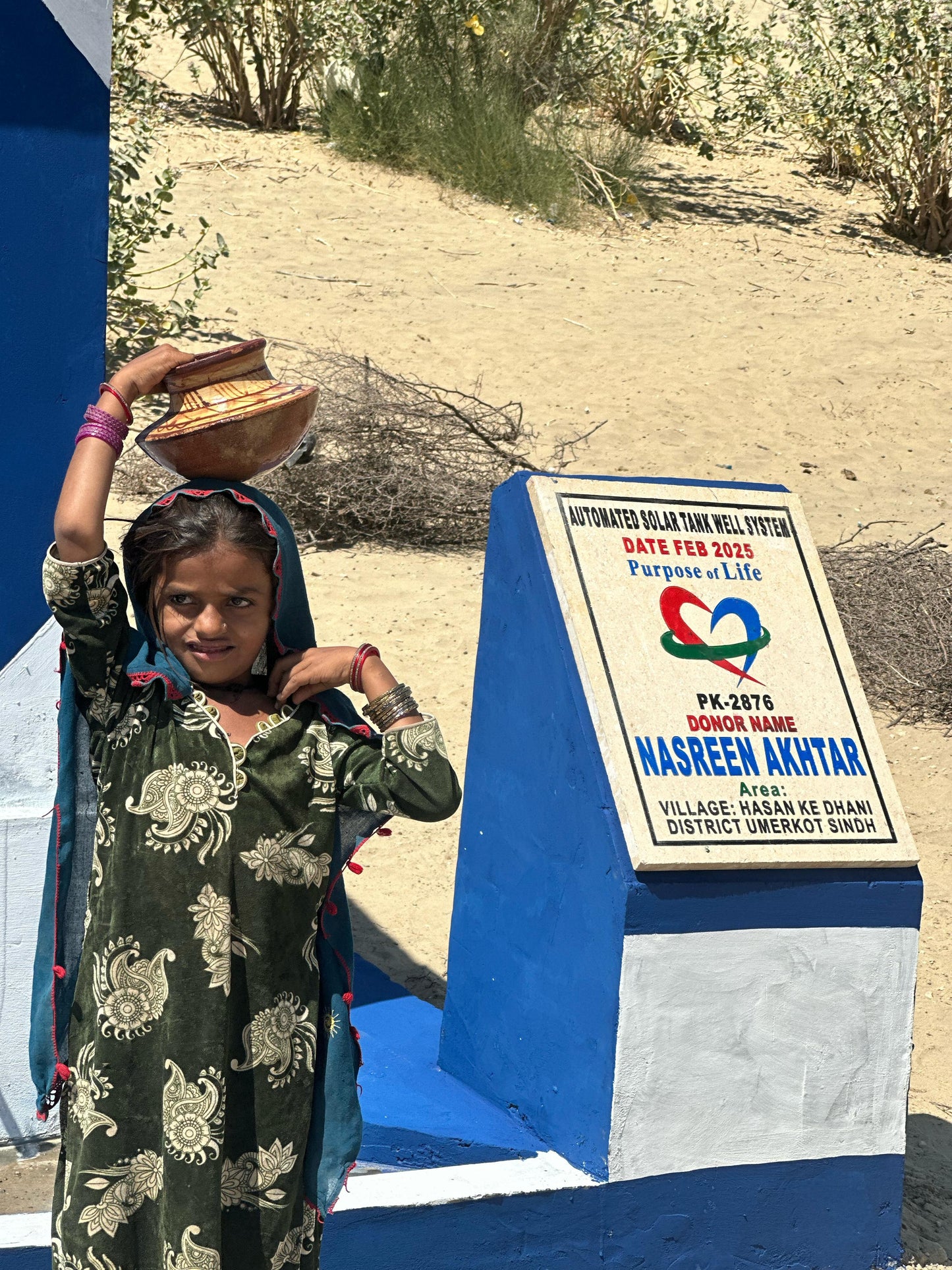 Solar Powered Fully Automated Water System