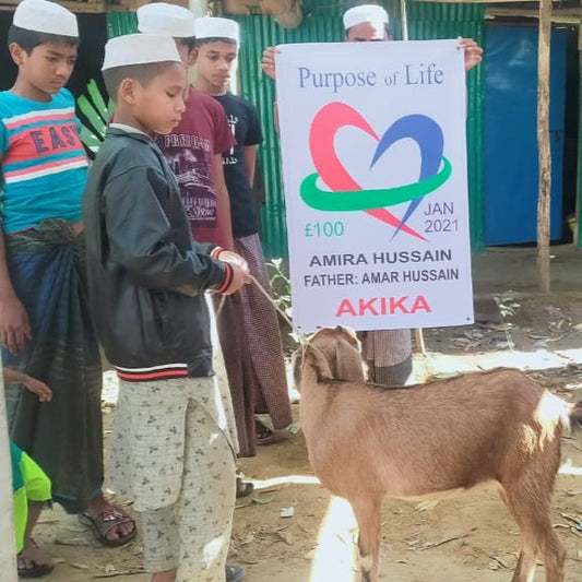 Goat Aqiqah (Boy) - Cooked Meals for Rohingya Refugees