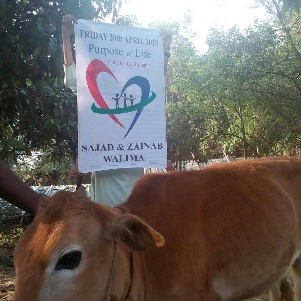 Walima Sunnah - Feed 250 People