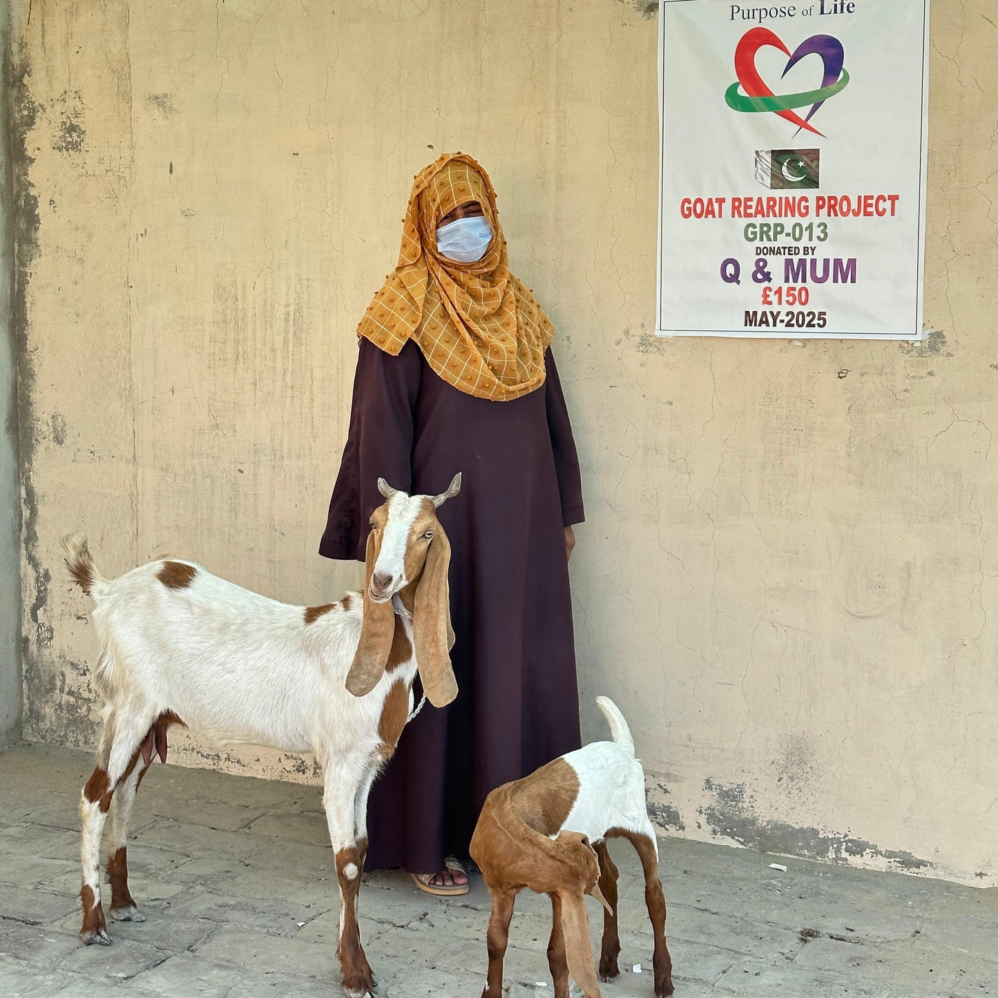 Pakistan Goat Rearing for Women - Livelihood & Nutrition