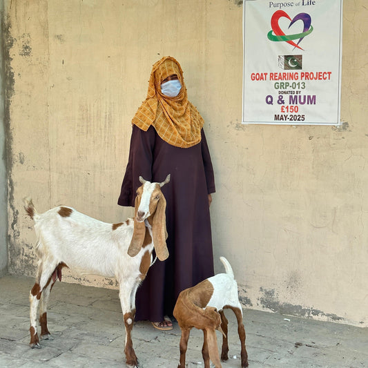 Pakistan Goat Rearing for Women - Livelihood & Nutrition