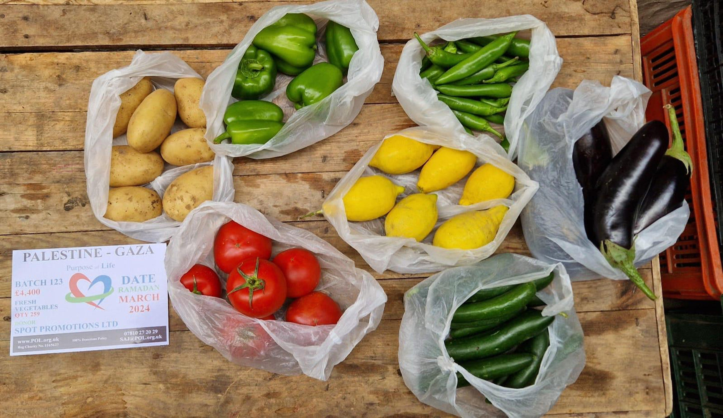 Palestine Gaza Appeal