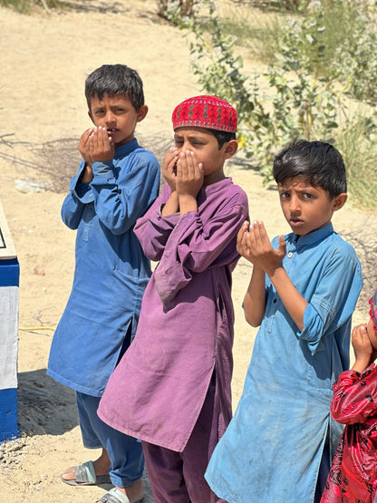 Solar Powered Fully Automated Water System