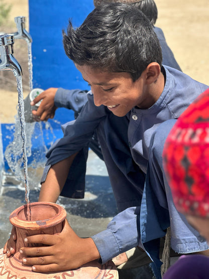 Solar Powered Fully Automated Water System