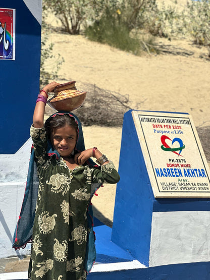 Solar Powered Fully Automated Water System