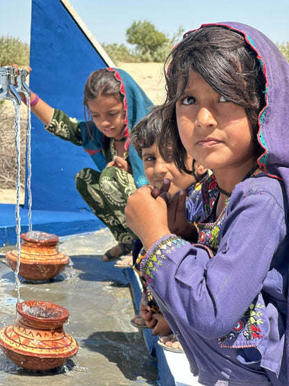 Solar Powered Fully Automated Water System
