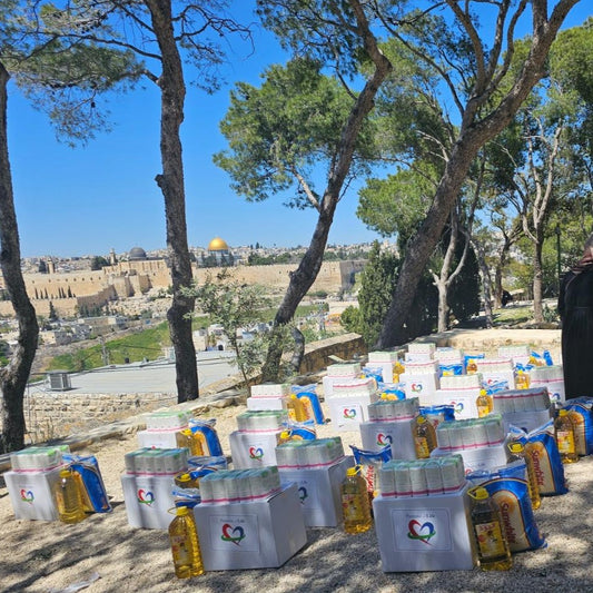 Abeer Palestine Appeal