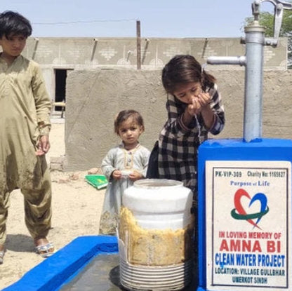 VIP Water Well – 2 Weeks Delivery