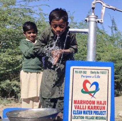 VIP Water Well – 2 Weeks Delivery