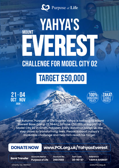 Yahya's Everest Challenge for Model City 02