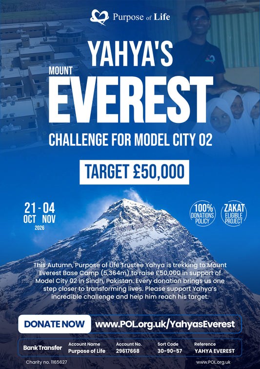 Yahya's Everest Challenge for Model City 02