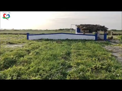 Solar Powered Fully Automated Water System + Water Line for Crops