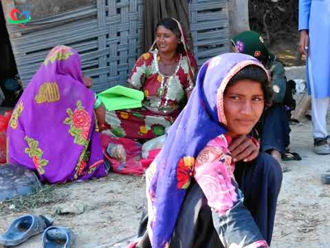 Pakistan Goat Rearing for Women - Livelihood & Nutrition